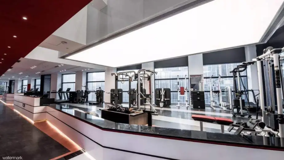 カスタマイズされたカラフルなスピードゲート